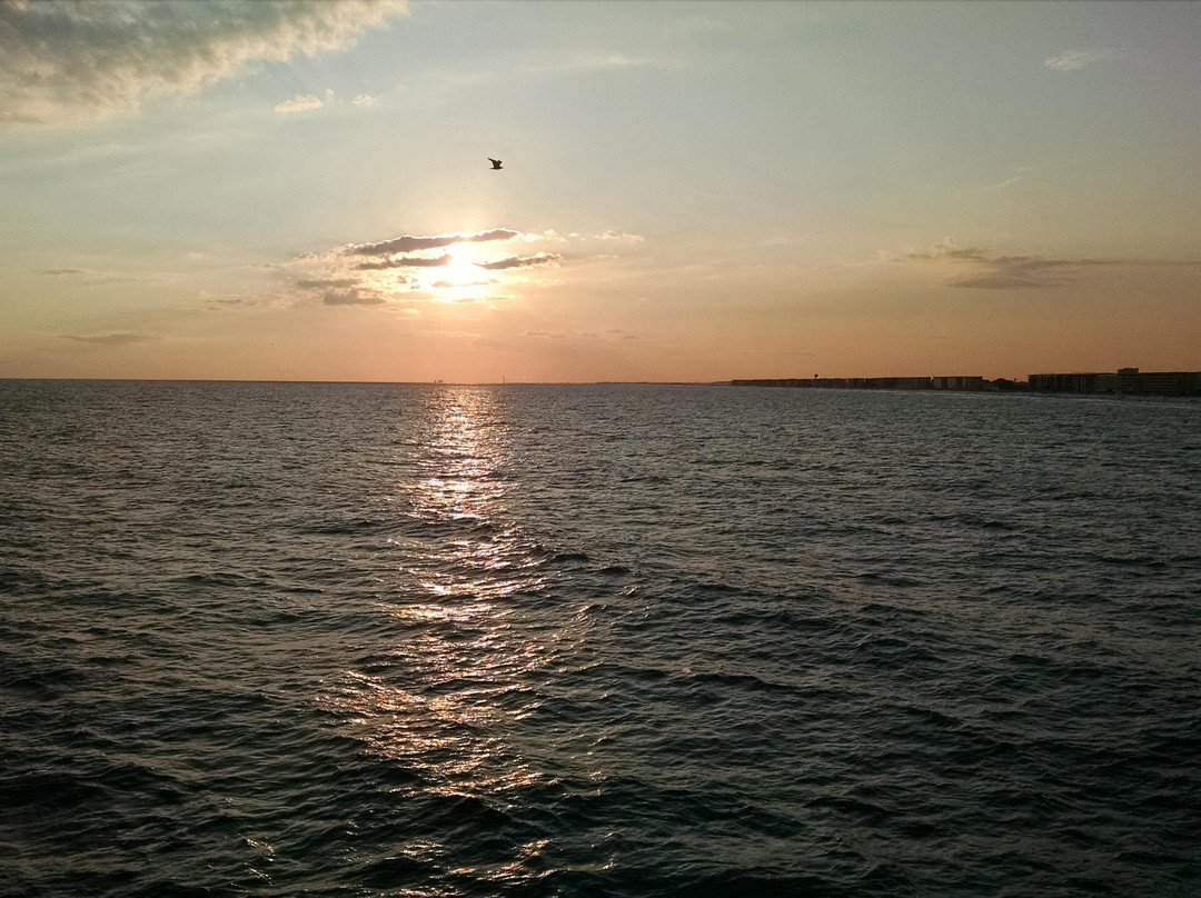The Island Pier景点图片