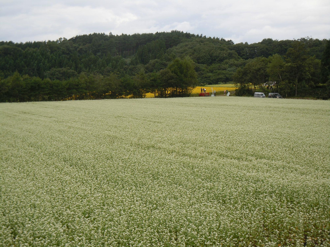 Aobako Communication Center-八户市必去景点