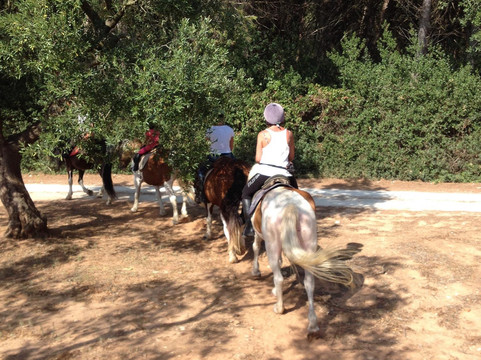 Il Maneggio di Lucio-奥特朗托必去景点