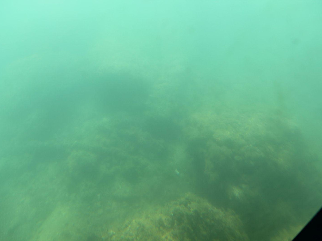 Parco Archeologico Marino Sommerso di Baia - Battello Cymba景点图片