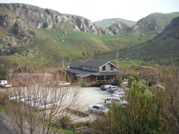 Port Waikato旅游景点-Nikau Cave