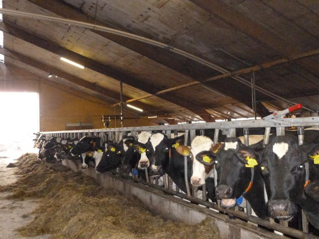 De Weiden-贝尔特勒姆必去景点