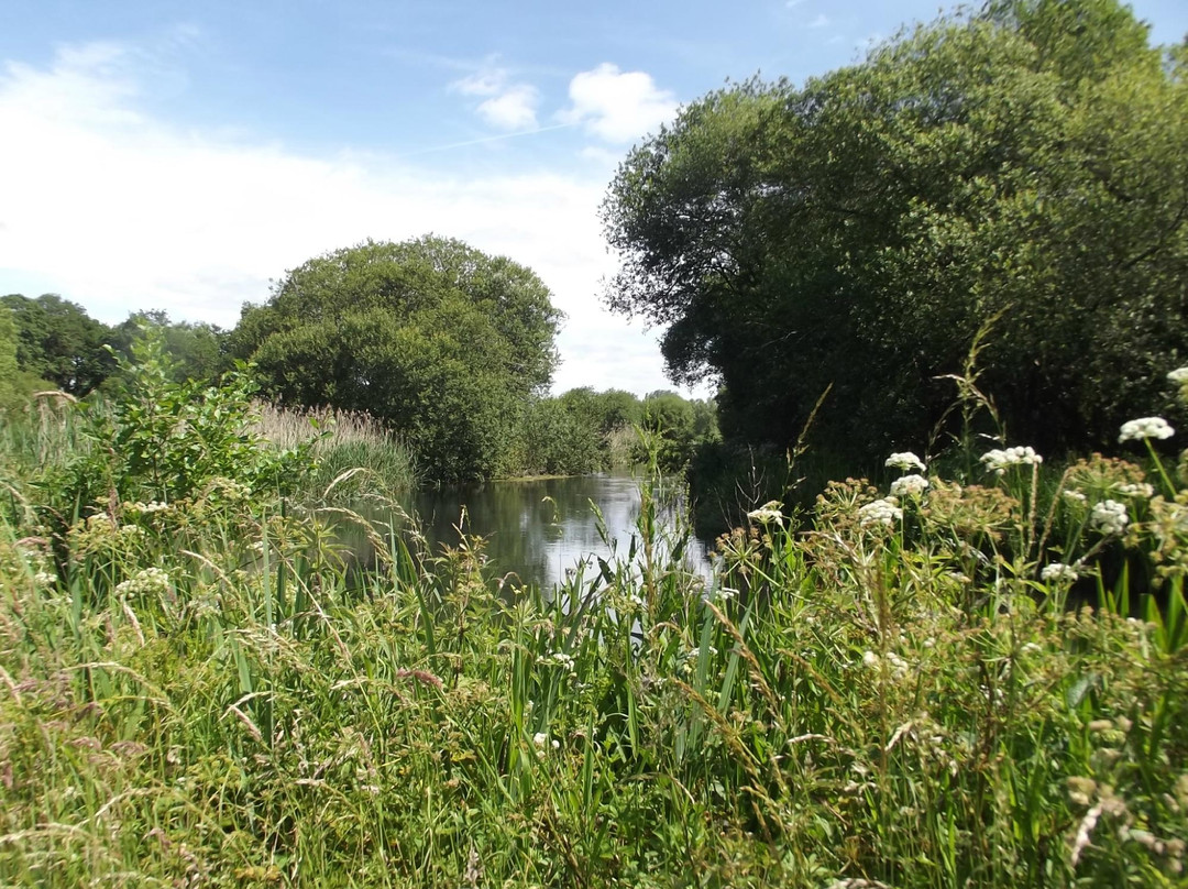 Winnall Moors Nature Reserve景点图片