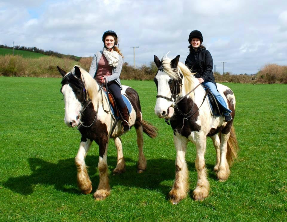 Drumcliffe Equestrian-恩尼斯必去景点