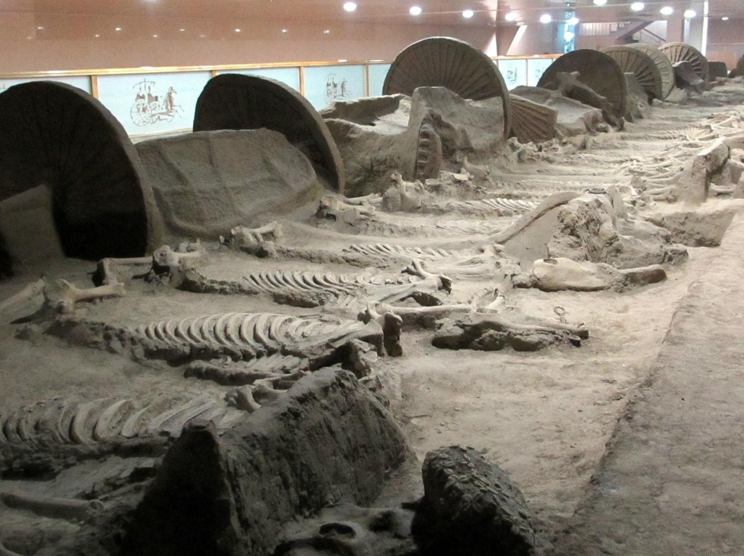 淄博中国古车博物馆-淄博市必去景点