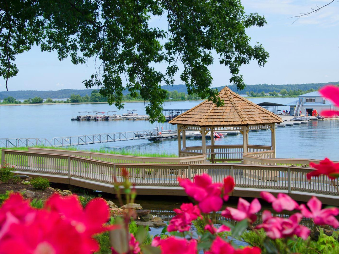 Paradise Rental Boats-布卢明顿必去景点