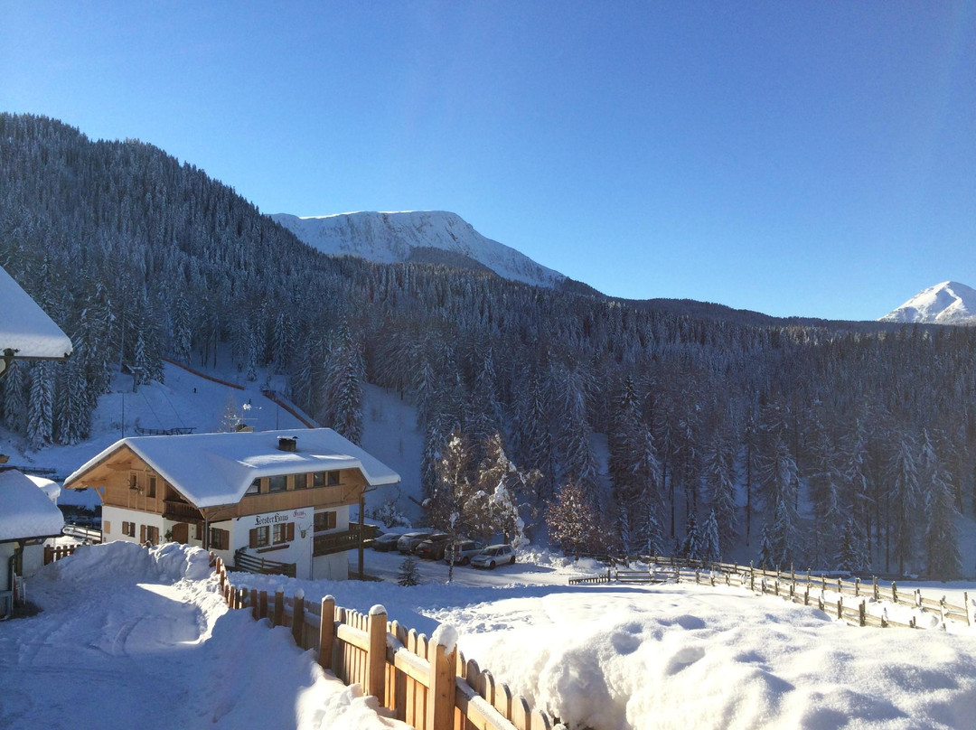 Hotel Oberlehenhof