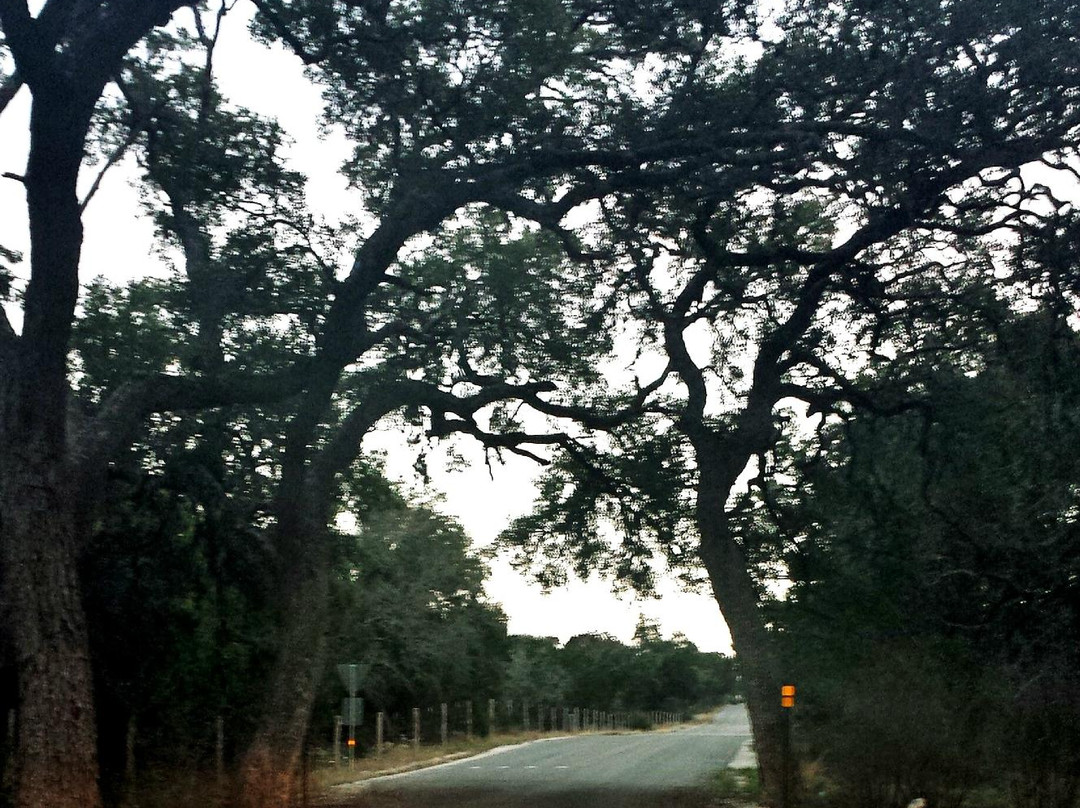 Kreutzberg Canyon Natural Area-Boerne必去景点