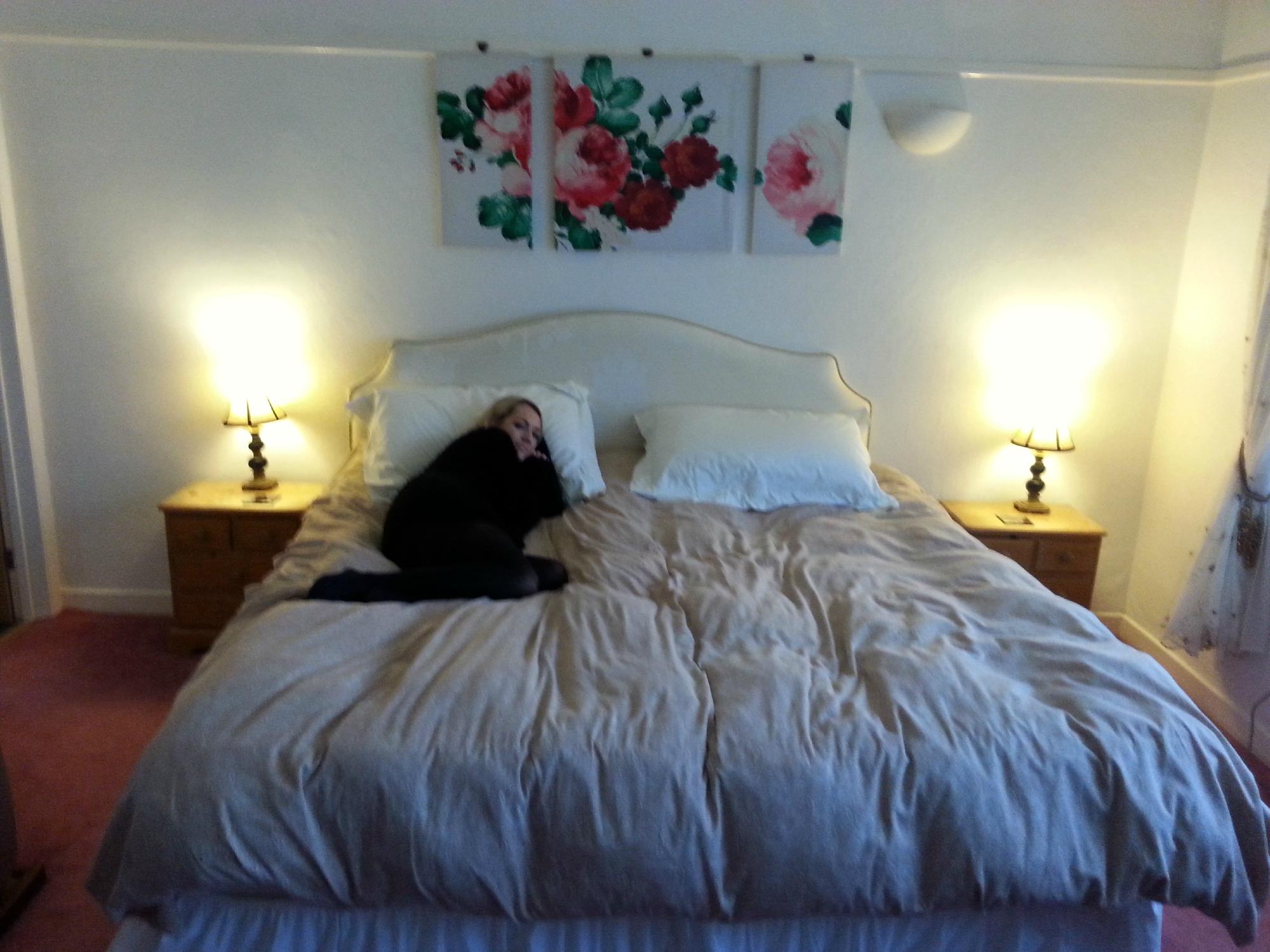 Arum House Padstow Bed and Breakfast-客卧