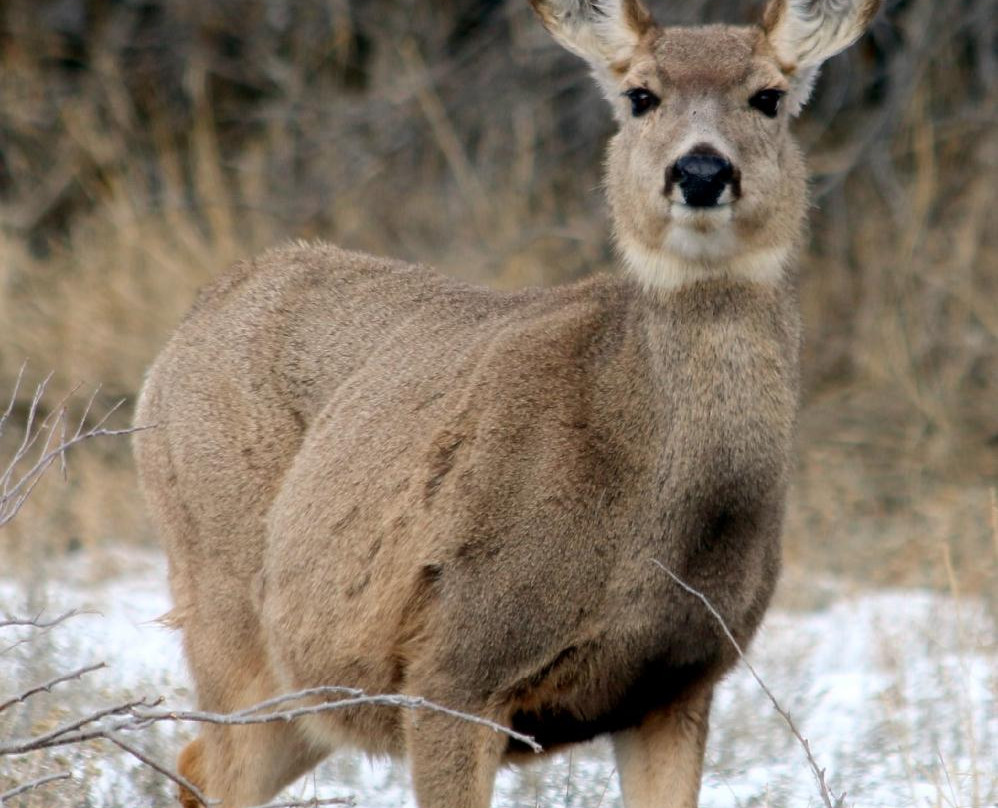 Ogden Nature Center-奥格登必去景点