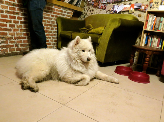 青岛奥博维特国际青年旅舍主图