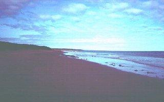 Chelsy by the Sea主图