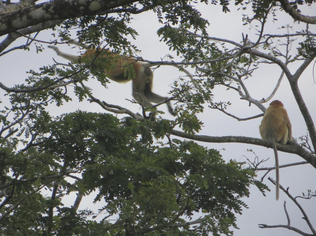 Lost Borneo Tours-亚庇必去景点