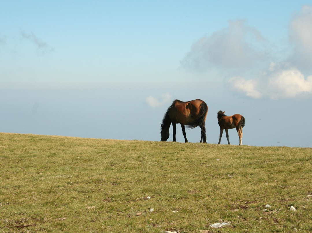 Zig Zag Holidays-索非亚必去景点