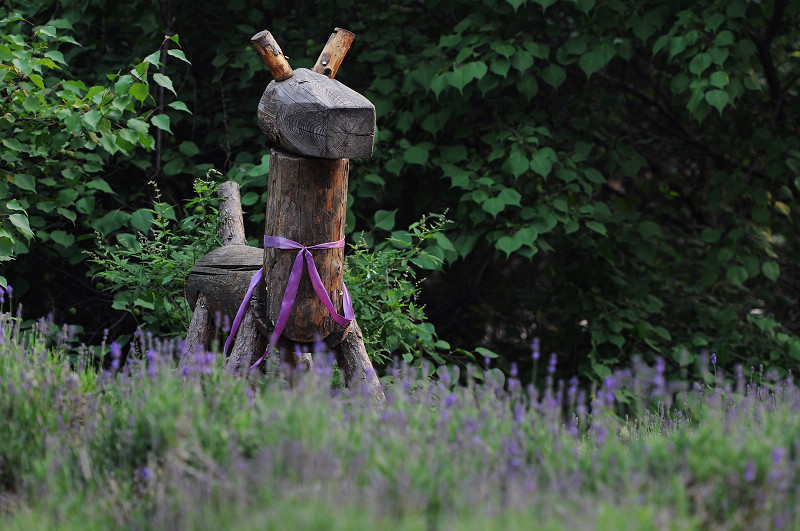 北京云峰山童话树屋主图