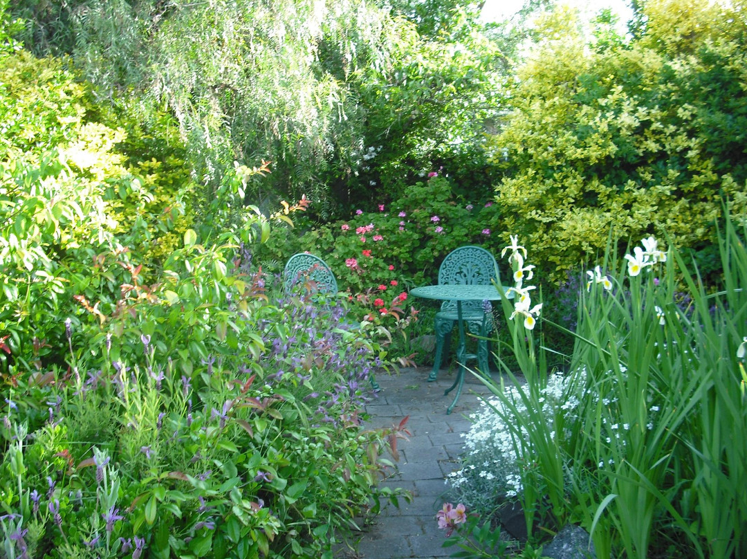 Hollyhock Cottage主图