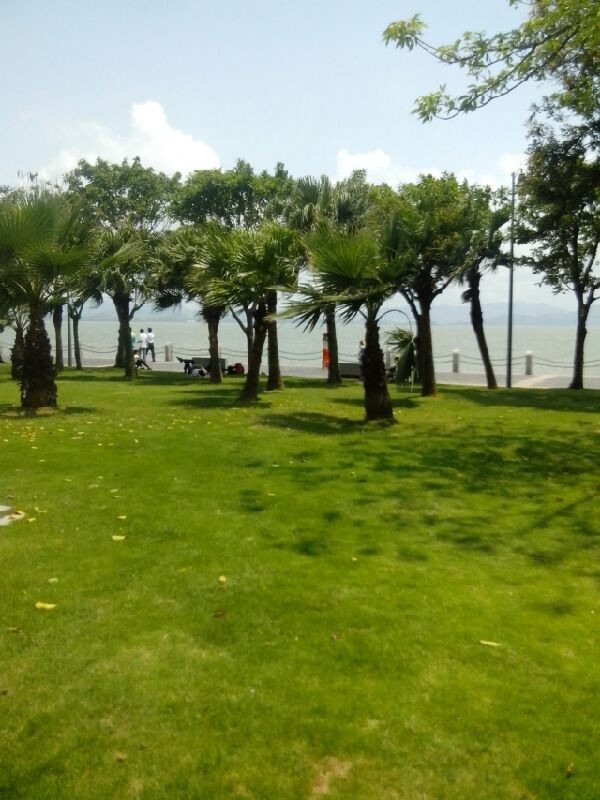 海滨公园景点图片