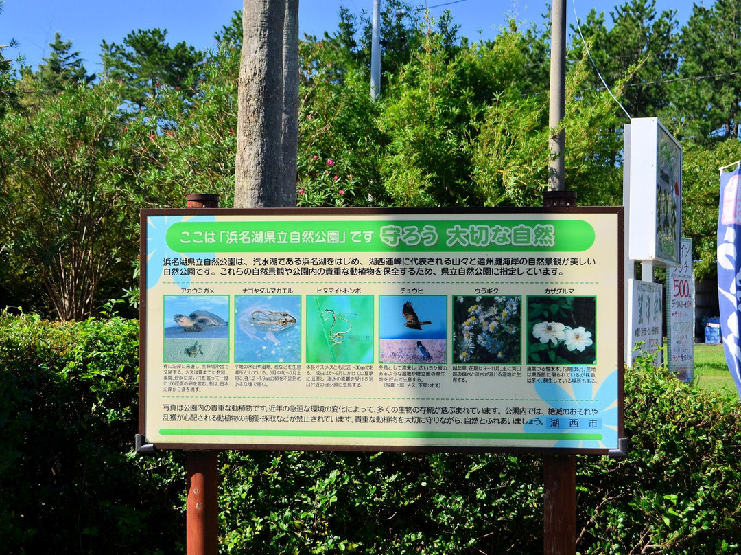 Arai Beach-湖西市必去景点