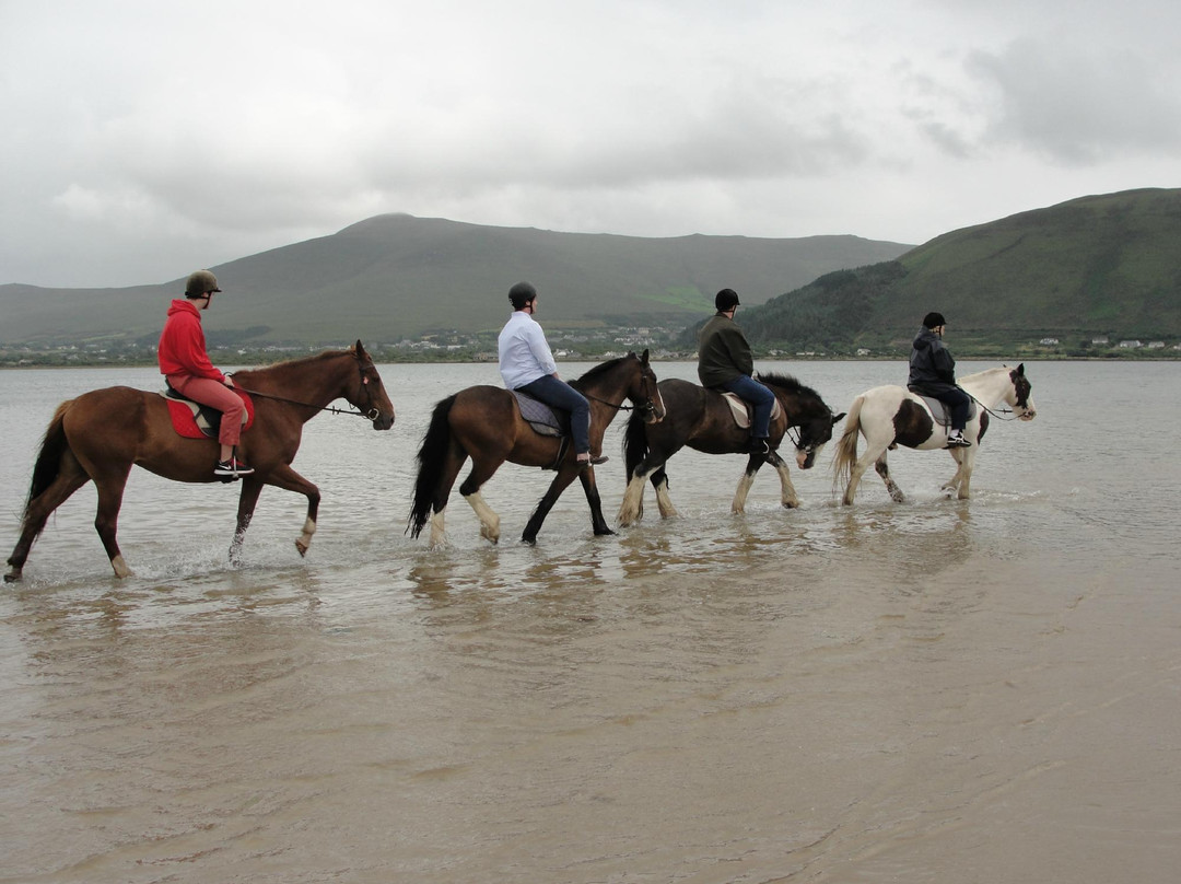 Rossbeigh Beach Horse Riding Centre景点图片