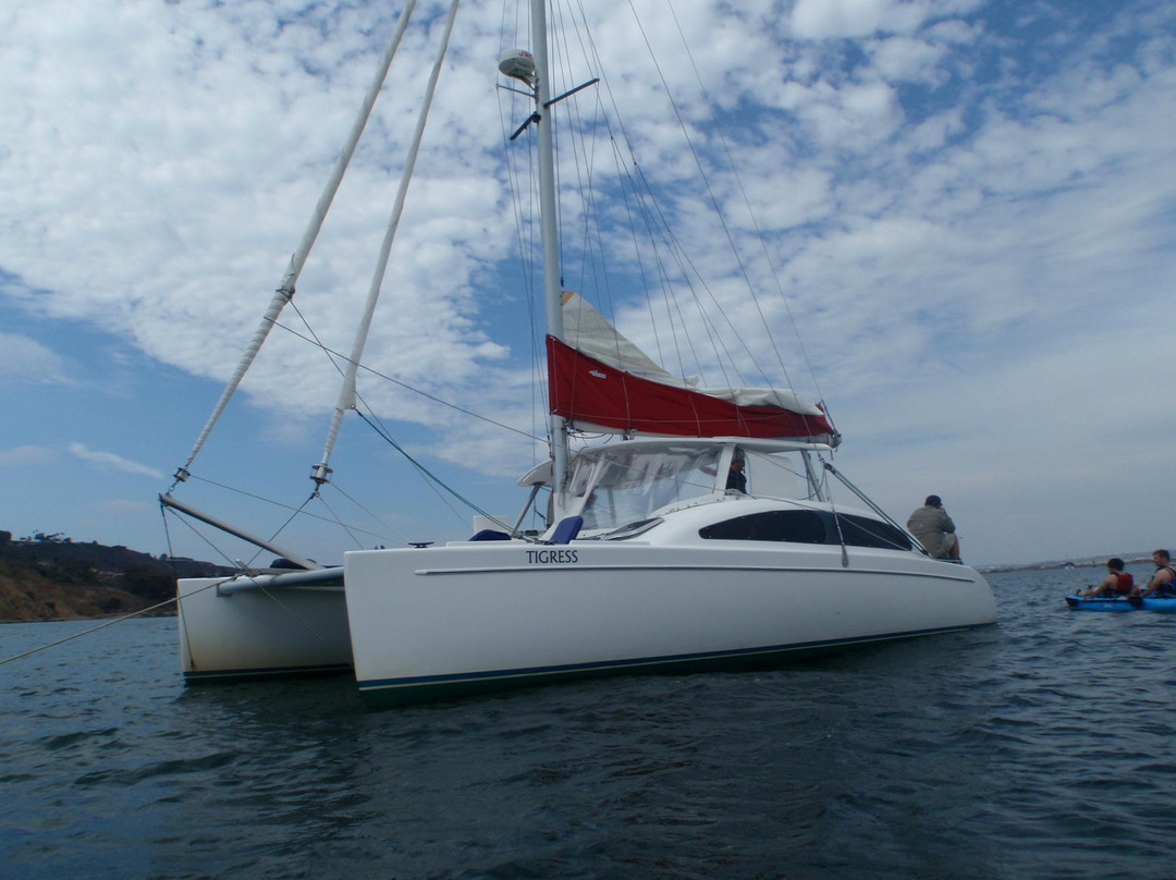 Fun Cat Sailing Catamaran Adventures-圣地亚哥必去景点