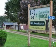 Green Gable Alpacas-null必去景点
