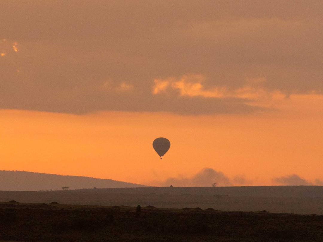 Governors’ Balloon Safaris-马赛马拉国家野生动物保护区必去景点