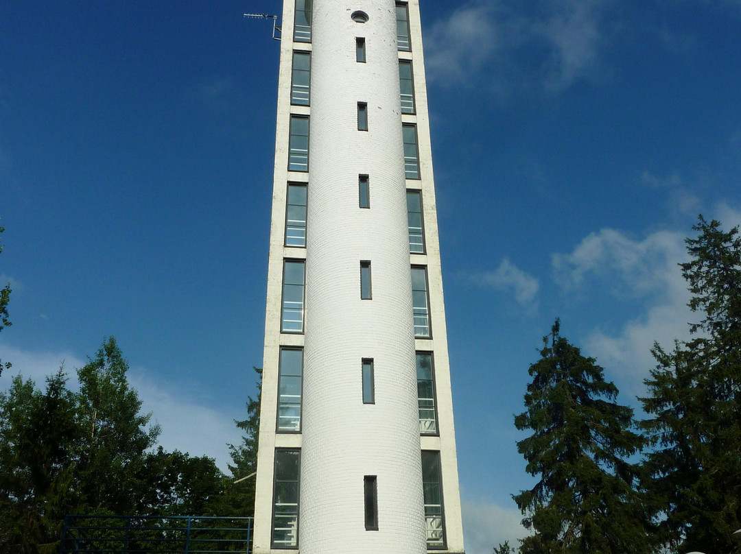 Observation Tower on Suur Munamagi-Haanja必去景点