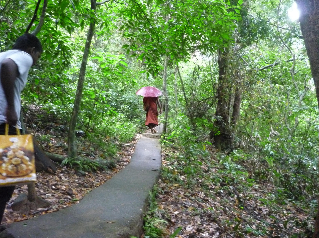 Na Uyana Monastery景点图片