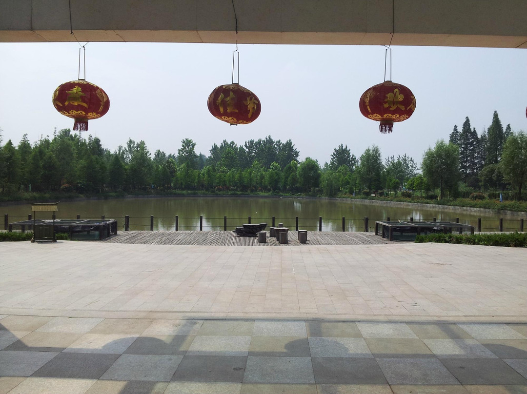 宝应湖-宝应县必去景点