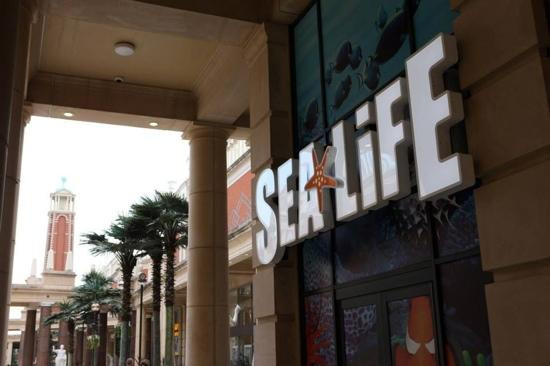 Sea Life Manchester-Trafford Park必去景点