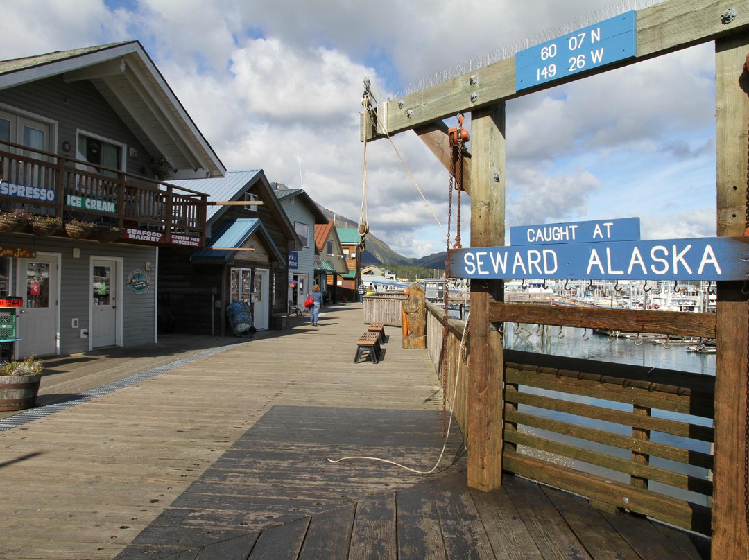 Seward Boat Harbor-苏厄德必去景点