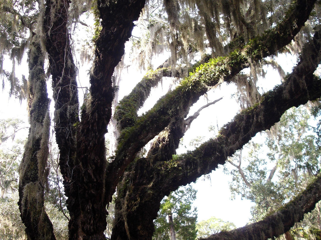 Princess Place Preserve-棕榈海岸必去景点