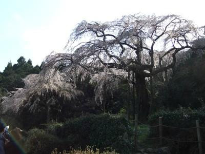 Chokozan Shoutaiji景点图片