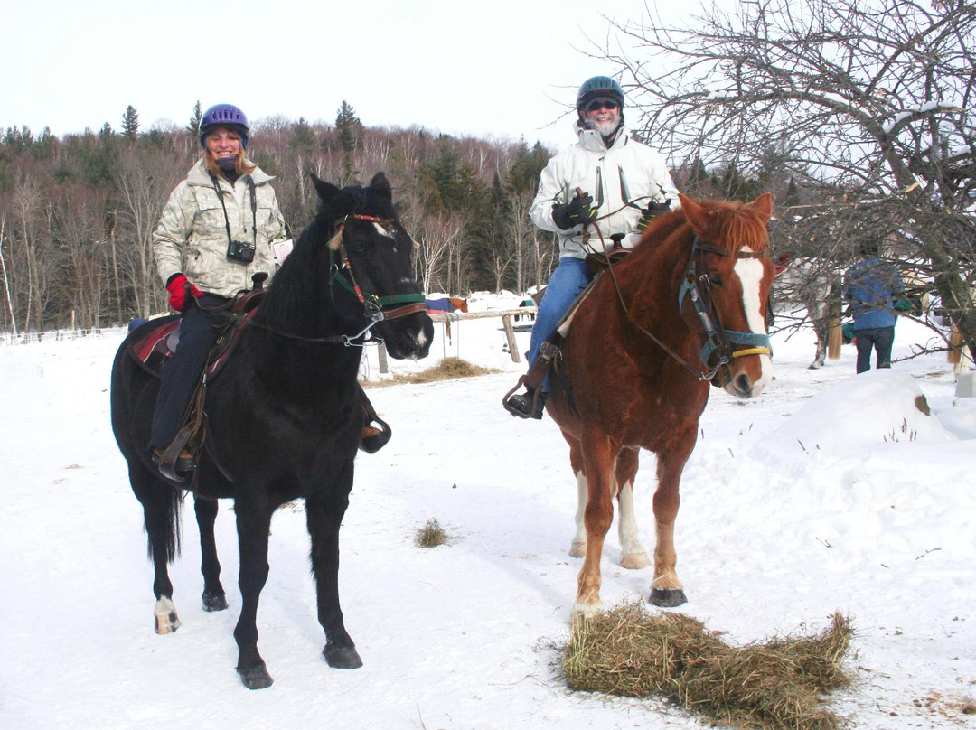 Adirondack Equine Center-普莱西德湖必去景点