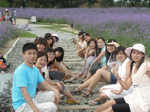 蓝调薰衣草庄园-北京市必去景点