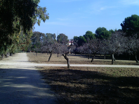 Parque La Quinta de los Molinos-马德里必去景点