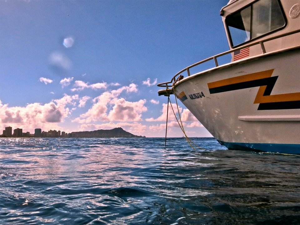 Hawaiian Diving Adventures-火奴鲁鲁必去景点