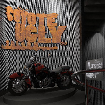 Coyote Ugly Saloon Romania