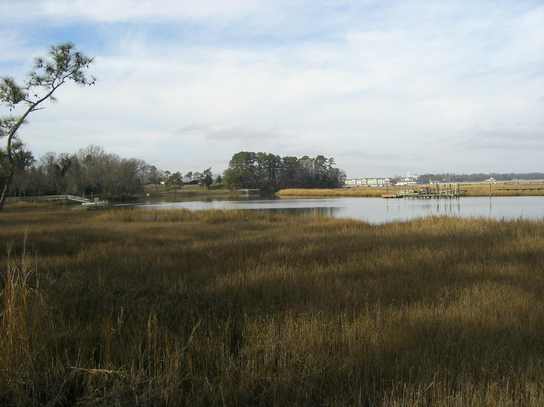 Windsor Castle Park-Smithfield必去景点