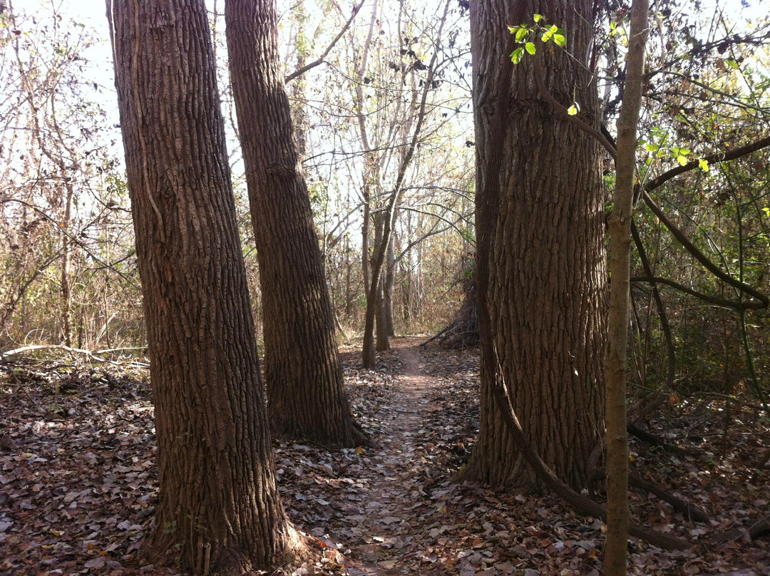 Justin P. Brindley Trail-舒格兰必去景点