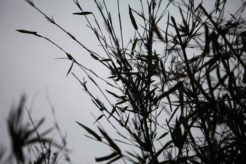 杭州悦榕庄主图