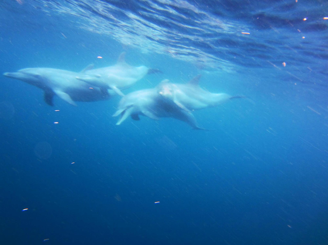 Aqua Planet-Shelly Beach必去景点