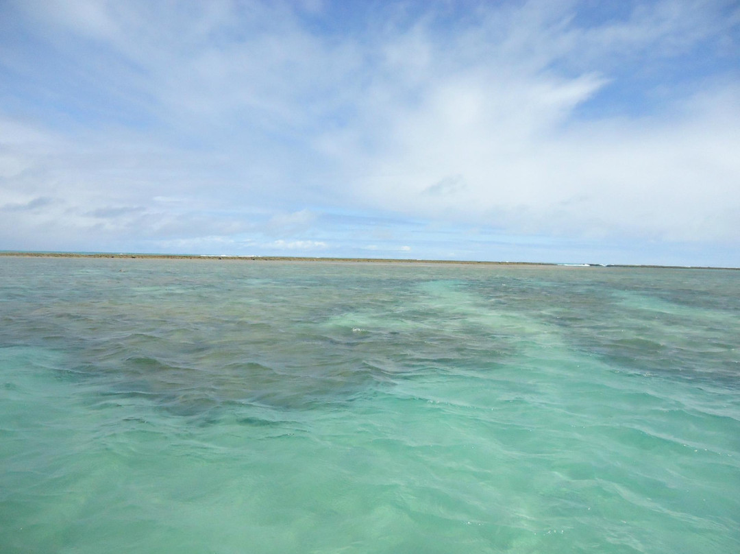 Gales de Maragogi-Maragogi必去景点