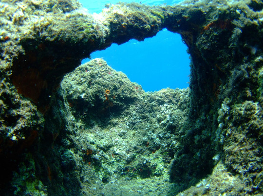 European Diving Institute - Centre de plongee en Crete-伊拉克利翁必去景点