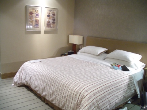 上海大宁福朋喜来登酒店-客卧