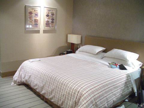 上海大宁福朋喜来登酒店主图