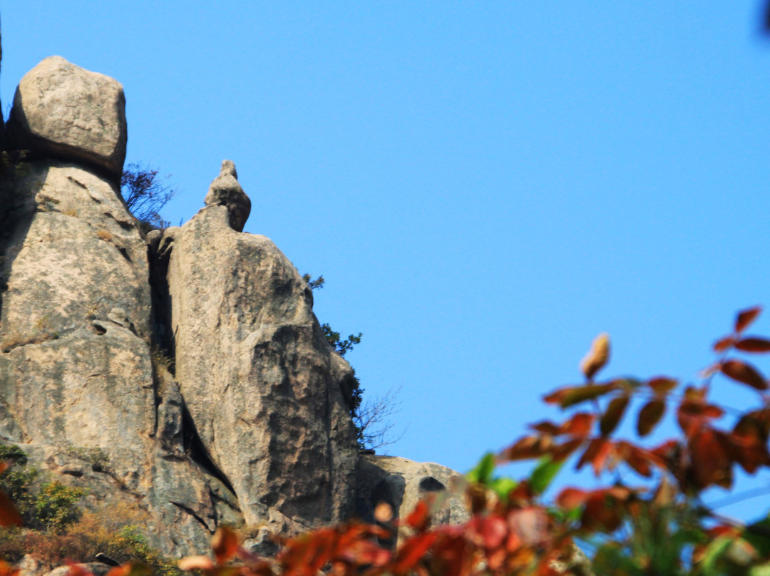 招虎山-海阳市必去景点