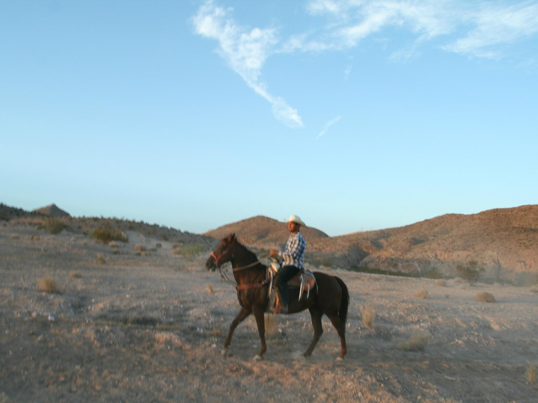 Wild West Horseback Adventures-拉斯维加斯必去景点