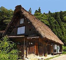 Shimizu