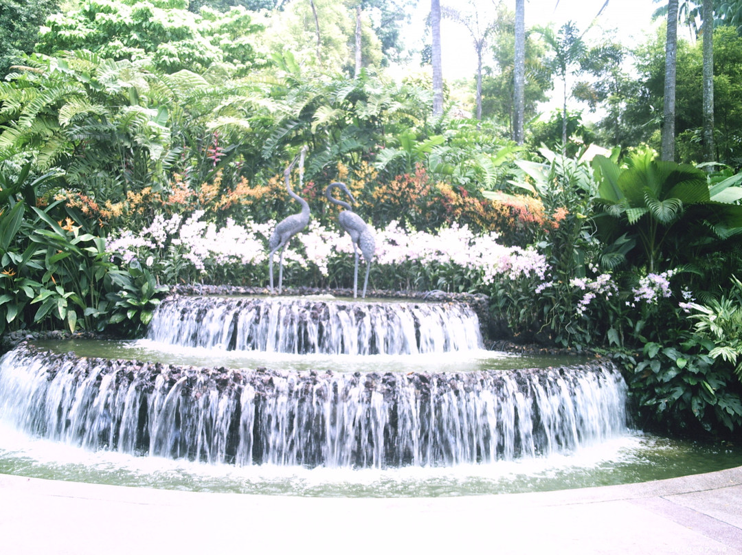 国家兰花园-新加坡必去景点